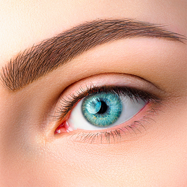 Maquillage permanent sourcils Lille